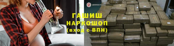 дмт Алзамай