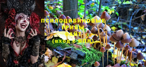 дмт Алзамай