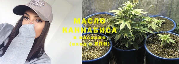 дмт Алзамай