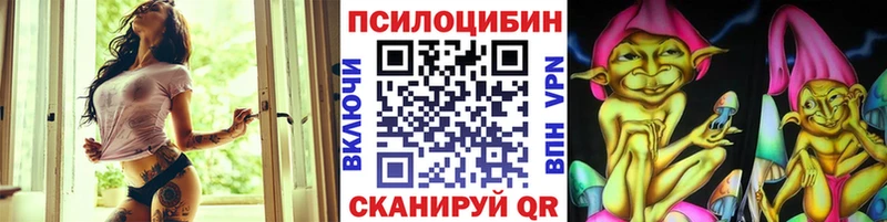 ОМГ ОМГ ССЫЛКА  Жуковский  Псилоцибиновые грибы GOLDEN TEACHER 